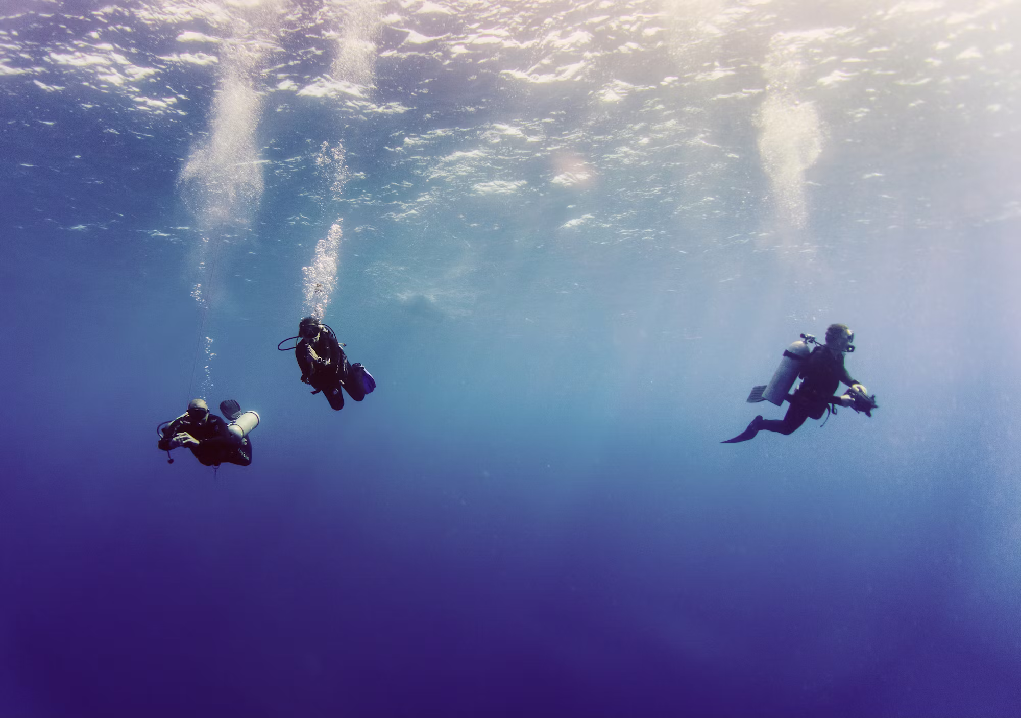 Beneath the Waves: A Journey Through the World of Diving