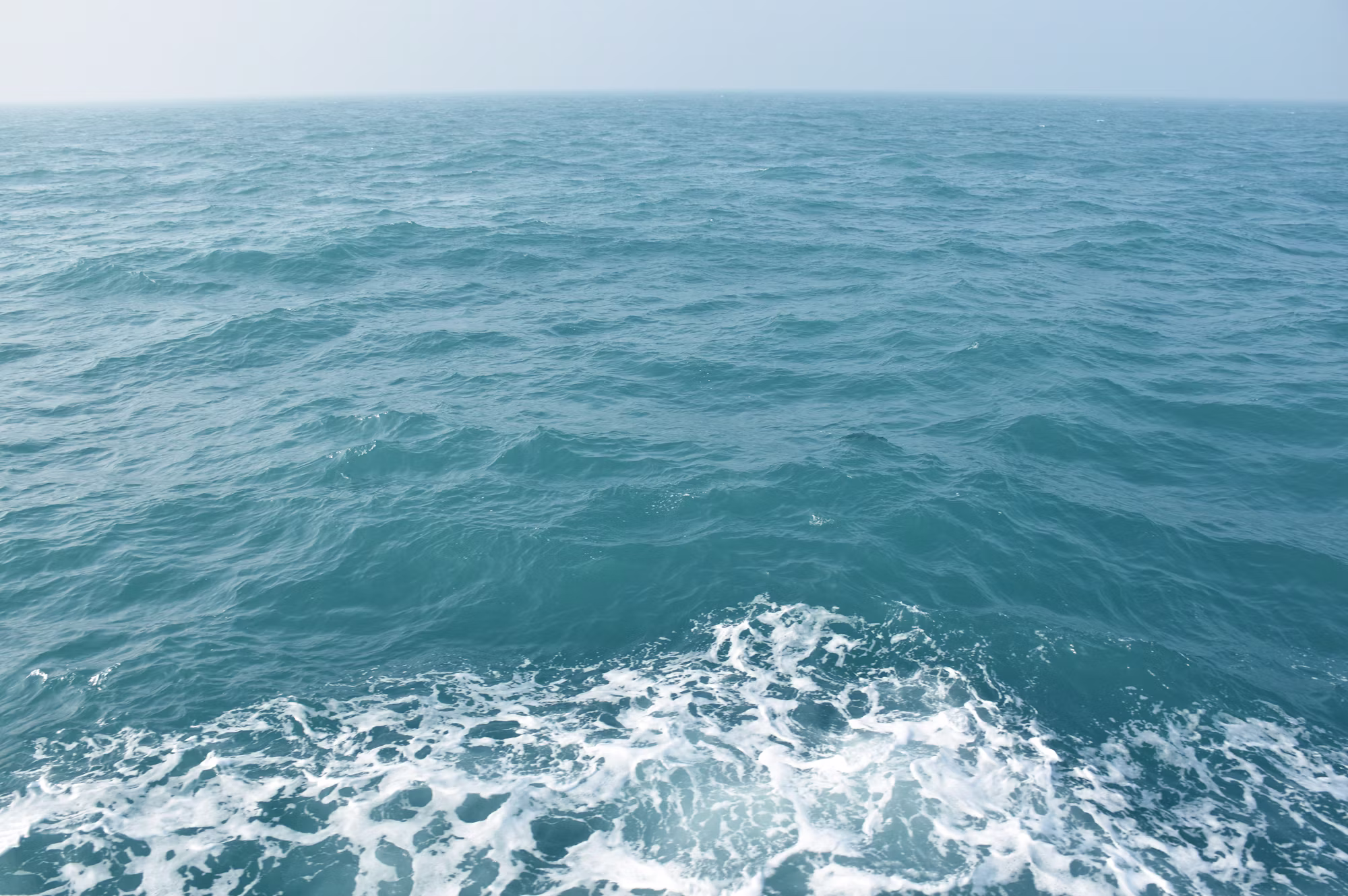 Diving into Adventure: A Journey Through the Various Styles of Underwater Exploration