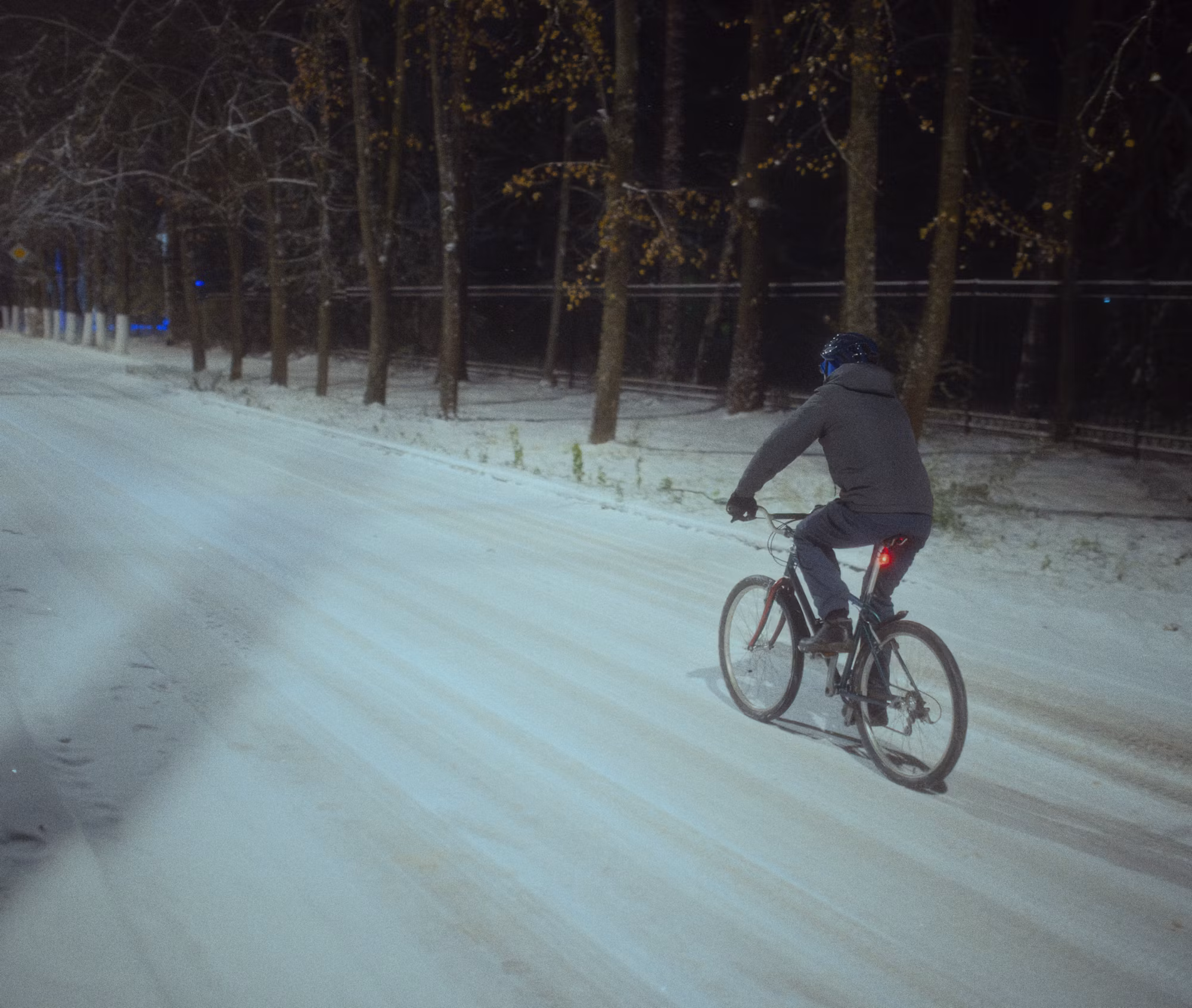 Cycling Adventures: Embracing the Thrill of the Ride